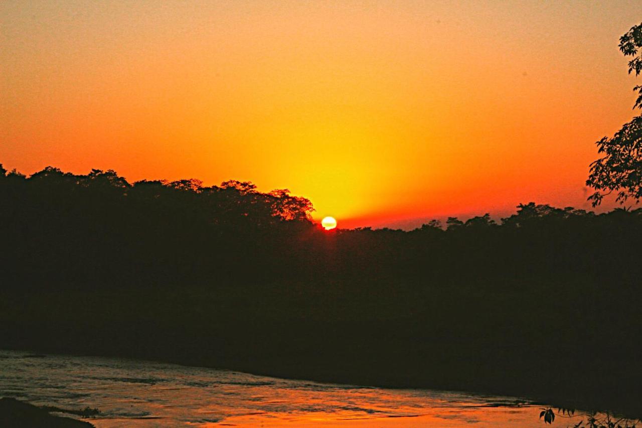 Tiger Corner Inn Homestay Sauraha Luaran gambar