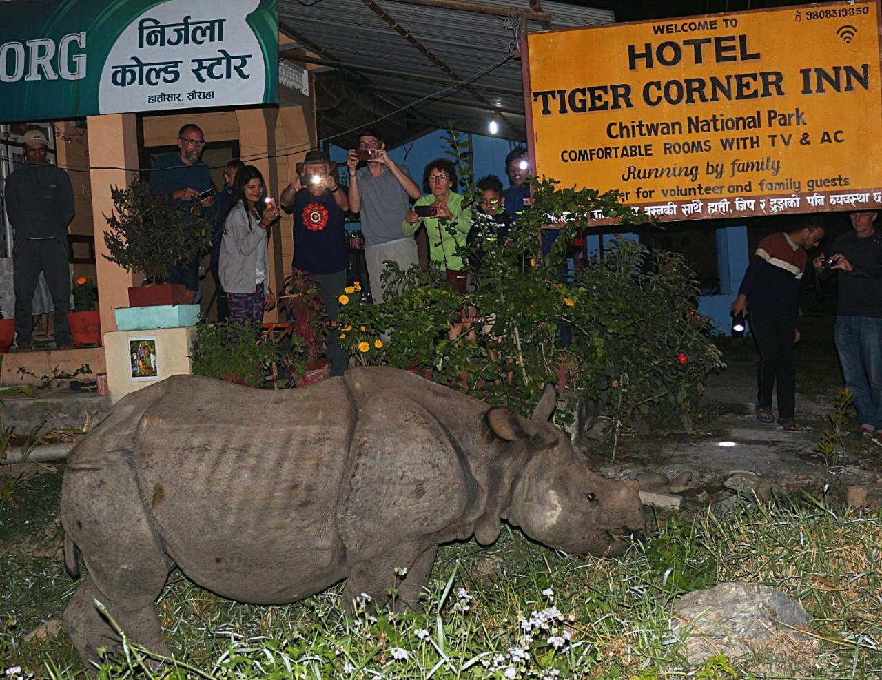 Tiger Corner Inn Homestay Sauraha Luaran gambar