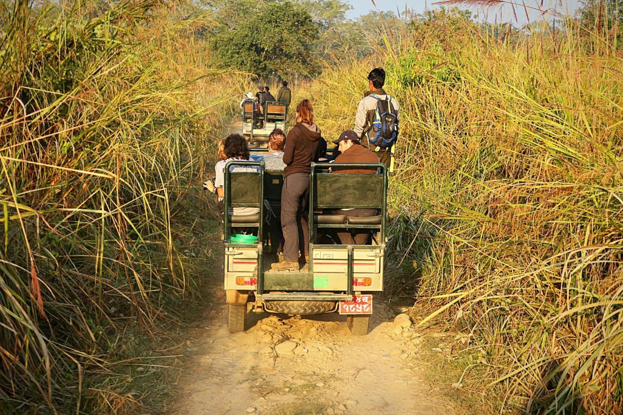 Tiger Corner Inn Homestay Sauraha Luaran gambar